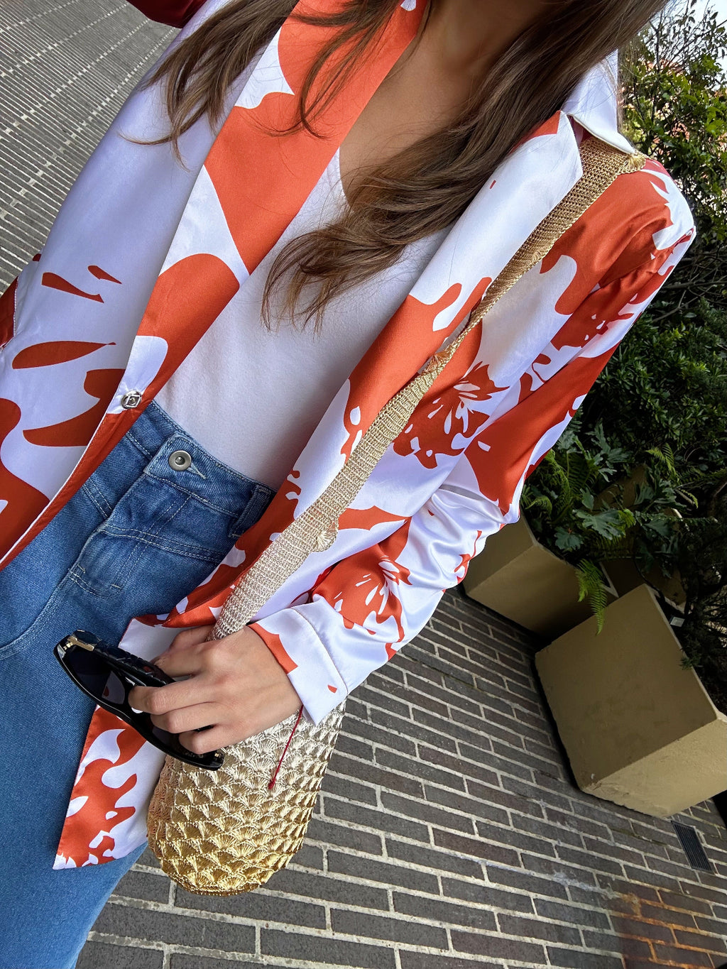 Blazer Aurora